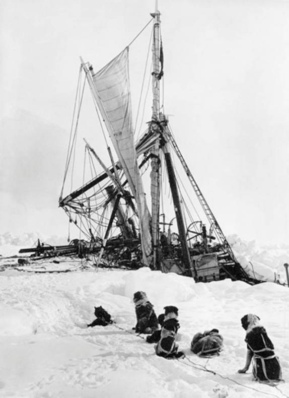 Cães observam a desttruição do Endurance pelo gelo na Antártida